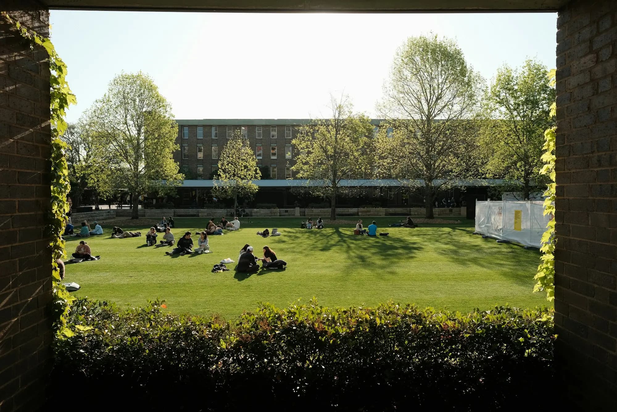 Students relaxing on a sunlit university lawn