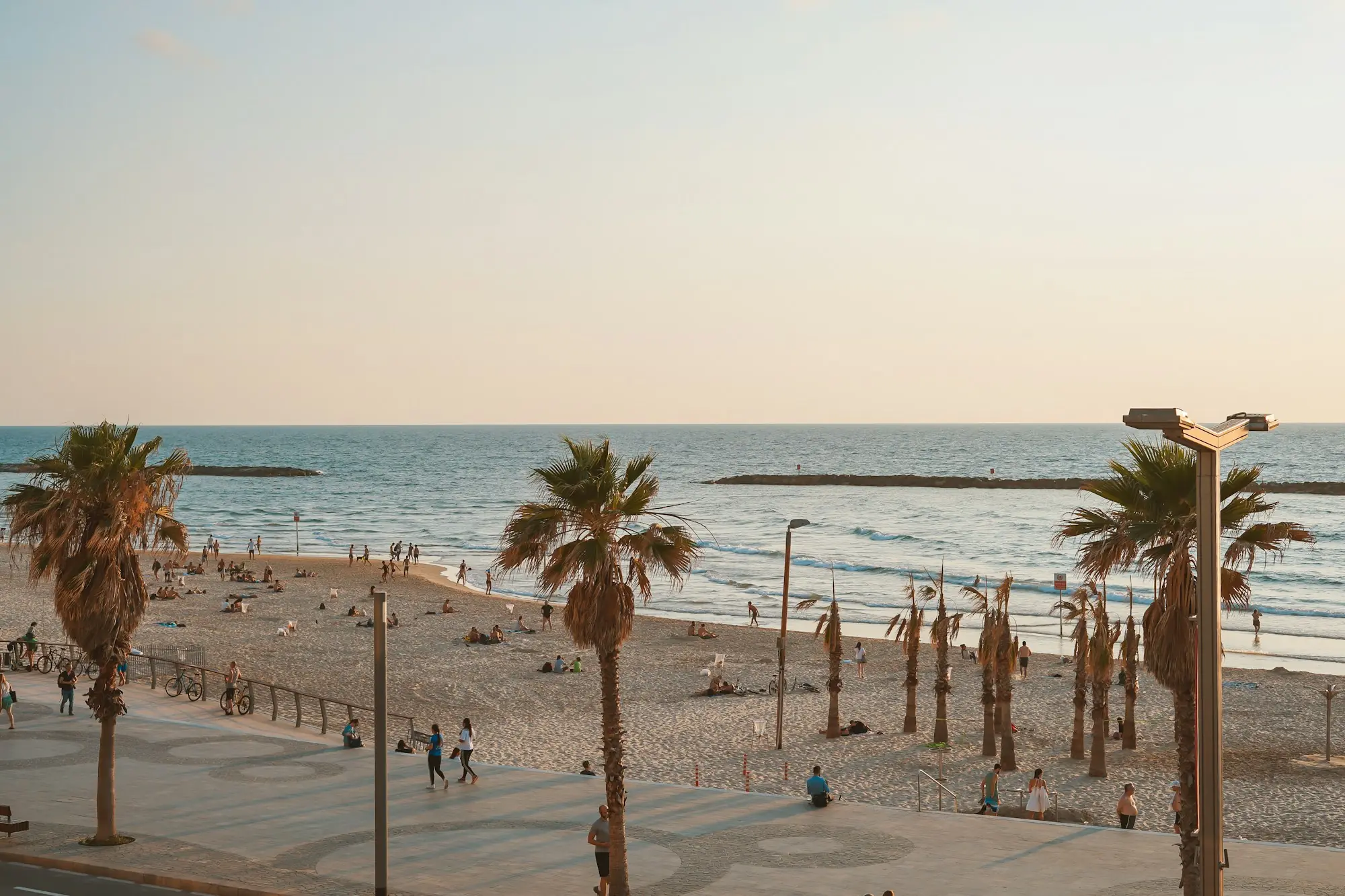 The Tel Aviv beach promenade and palms in the sun